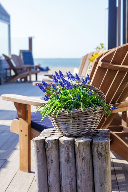 Lavanda azul em um vaso velho em um café