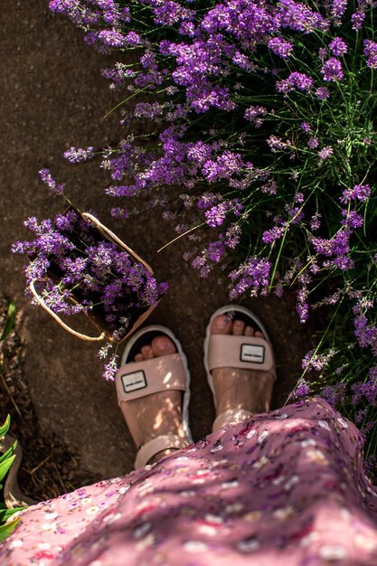 Lavanda em uma cesta