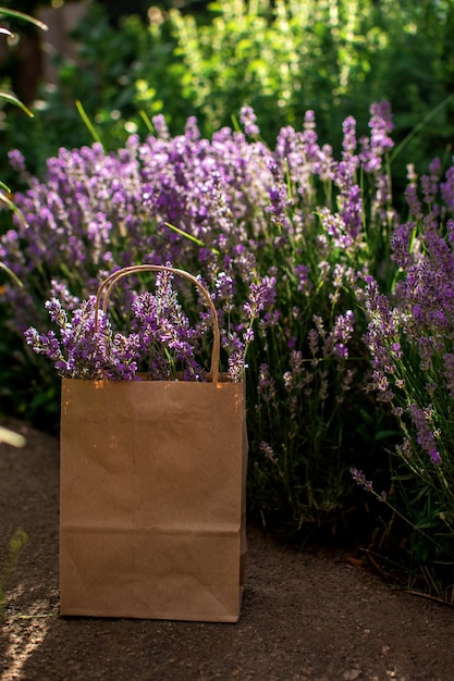 Lavanda em uma cesta