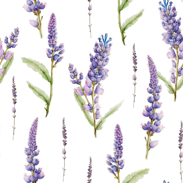 Foto lavanda flores floral acuarela decorativa sin fisuras de fondo