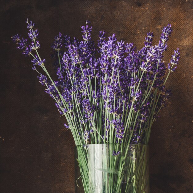 lavanda, lindas flores frescas