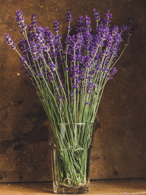 lavanda, lindas flores frescas