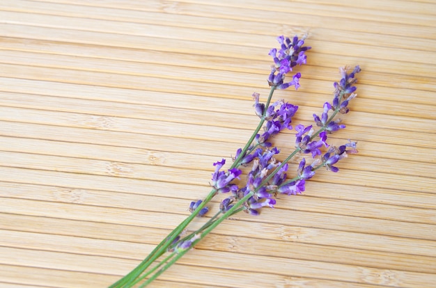 Lavanda en madera