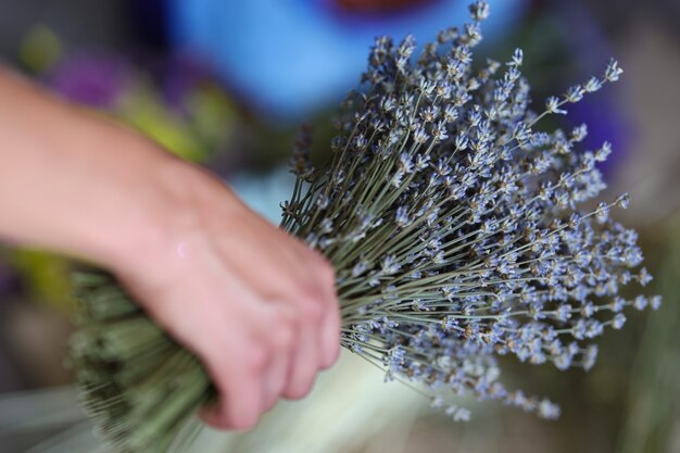 Foto lavanda seca en ramo en concepto de estilo provenzal de mano de mujer