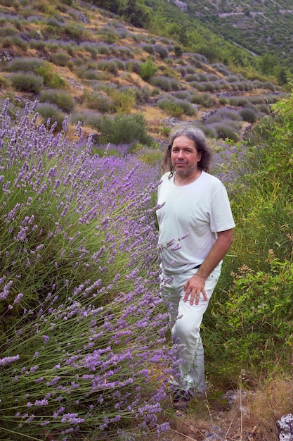 Lavanda silvestre en la isla de Hvar Hombre europeo vestido de blanco por arbusto de lavanda en plena floración