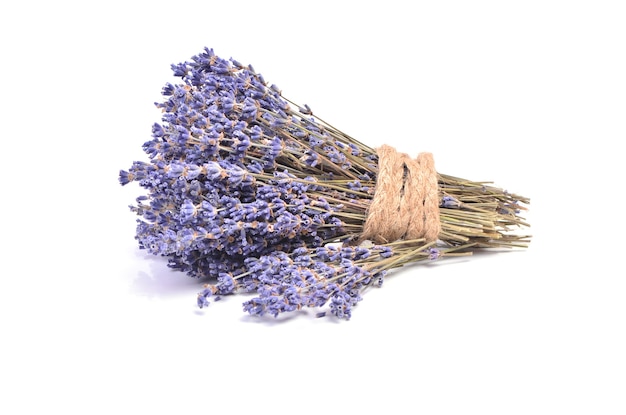 Lavanda sobre un fondo blanco.