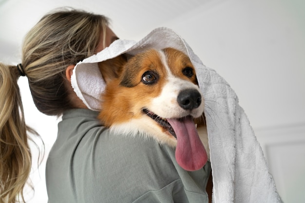 Lavar perro mascota en casa