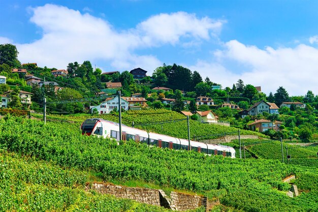 Lavaux, Schweiz - 30. August 2016: Fahrender Zug an der Eisenbahn in der Nähe des Wanderweges Lavaux Vineyard Terrace, Bezirk Lavaux-Oron, Schweiz