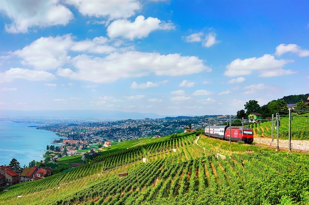 Lavaux, Suíça - 30 de agosto de 2016: Trem em execução na trilha Lavaux Vineyard Terraces no Lago Genebra e Alpes, distrito de Lavaux-Oron, Suíça