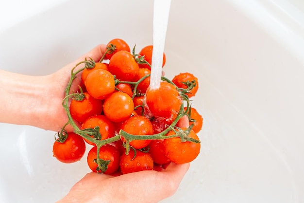 Lave os tomates frescos com caules verdes sob a torneira, segurando nas mãos. foco suave