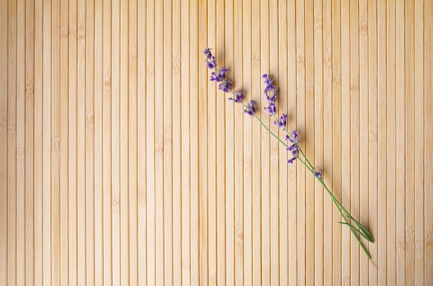 Lavendel auf Holz