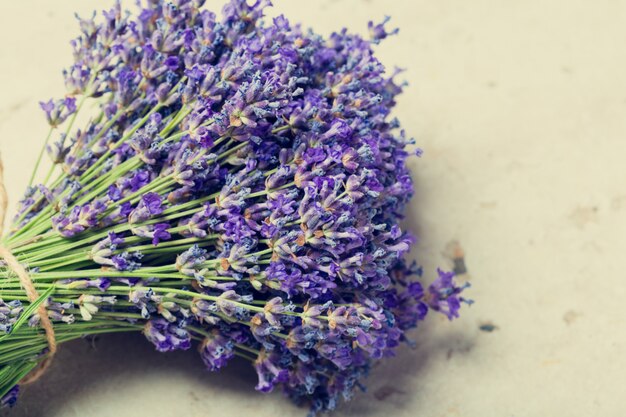 Lavendel blüht Blumenstrauß