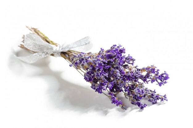 Lavendel blüht Bündel