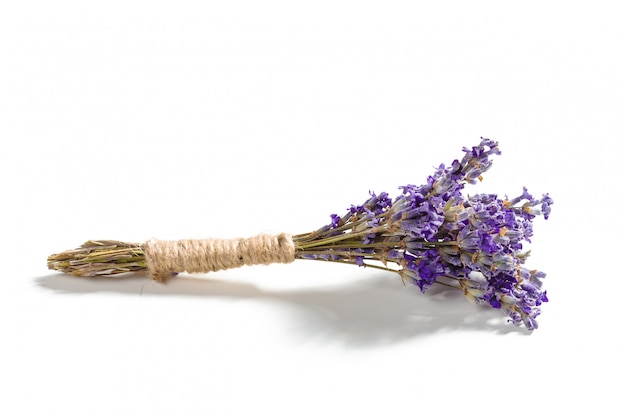 Lavendel blüht Bündel