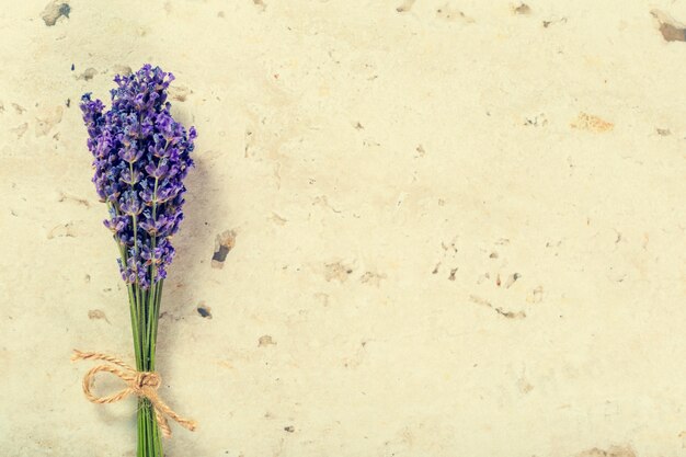 Foto lavendel blumen hautnah