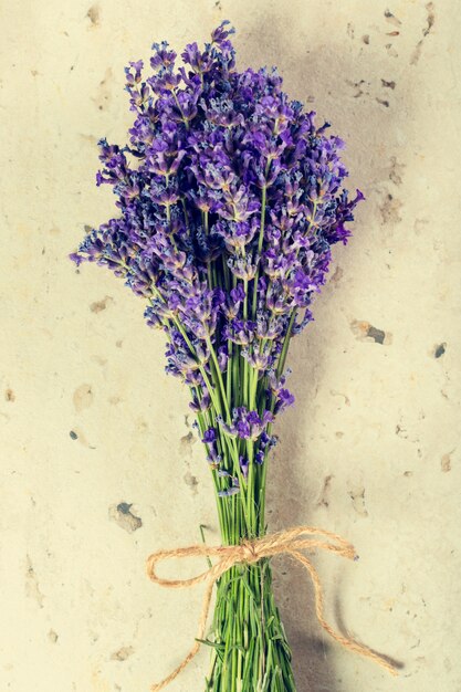 Foto lavendel blumen hautnah