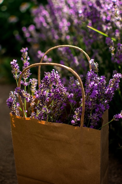 Lavendel in einem Korb