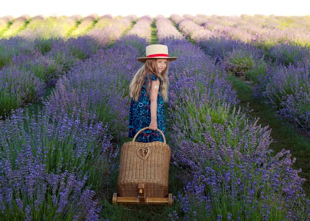 Lavendel Mädchen Feldhut Lavendelfeld