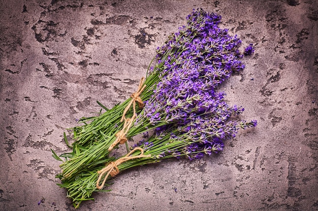 Lavendelblüten auf grauem Betonhintergrund mit Kratzern