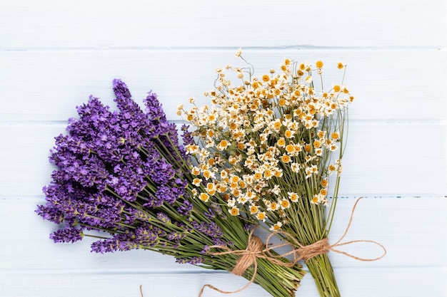 Lavendelblumen auf einem weißen Hintergrund