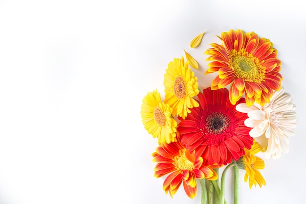 Lay Flat con coloridas flores otoñales de color rojo amarillo naranja sobre fondo blanco. Caída brillante, concepto de día de acción de gracias. Vista superior, espacio de copia