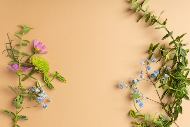 Lay Flat de flores frescas cortadas de jardín para herbario sobre fondo beige