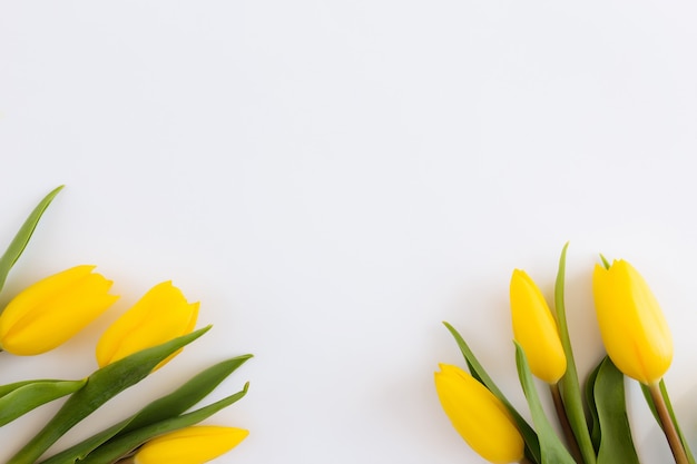 Lay Flat con flores de tulipán amarillo sobre fondo blanco. Concepto de tarjeta de felicitación para Pascua, día de la madre, día internacional de la mujer, día de San Valentín.