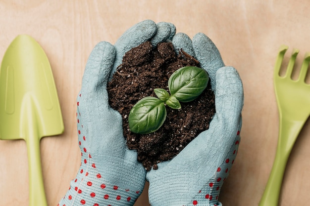 Foto lay flat de manos con guantes sosteniendo tierra y planta