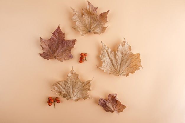 Layout aus Herbstlaub und Blüten