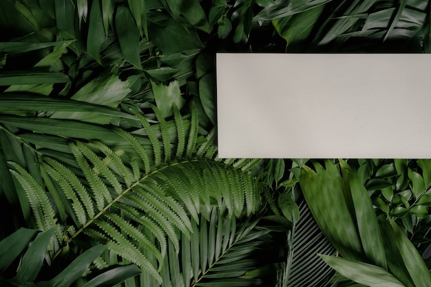 Foto layout criativo de flores e folhas com notas de cartão de papel branco deitado plano conceito da natureza