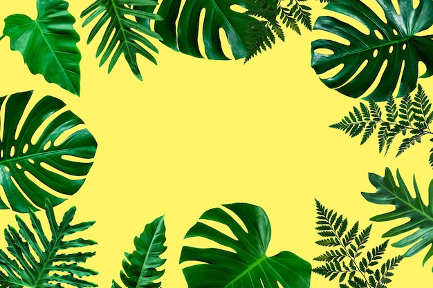 layout criativo de folhas tropicais isoladas em fundo amarelo