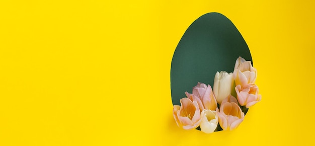 Foto layout criativo de páscoa com flores frescas de tulipa e folhas em fundo de papel amarelo e verde brilhante conceito natural de primavera forma na forma de um banner de ovo