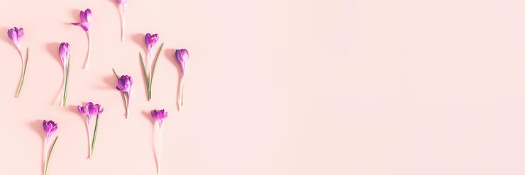 Foto layout de flores de açafrão