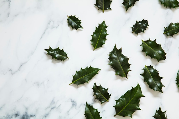 Foto layout de natal feito de folhas festivas de azevinho em um fundo de mármore branco