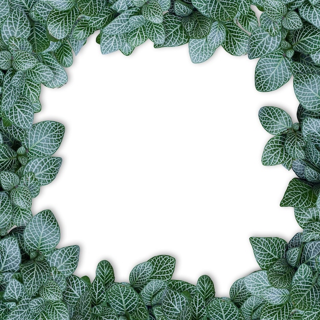 Foto layout de natureza feito de folhas tropicais com nota de cartão de papel