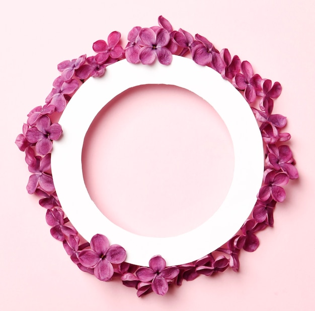Layout de quadro criativo feito de flores lilás da primavera em um fundo rosa. Conceito de férias mínimo. Padrão de configuração plana.