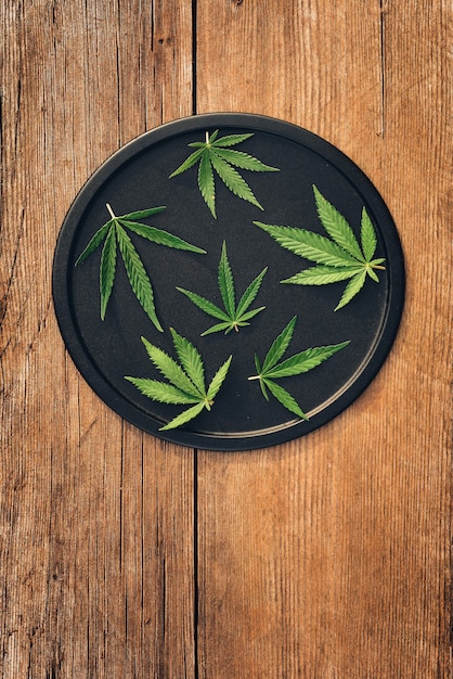 Layout der schönen Blätter von Marihuana, Cannabis in verschiedenen Größen auf runder schwarzer Schale