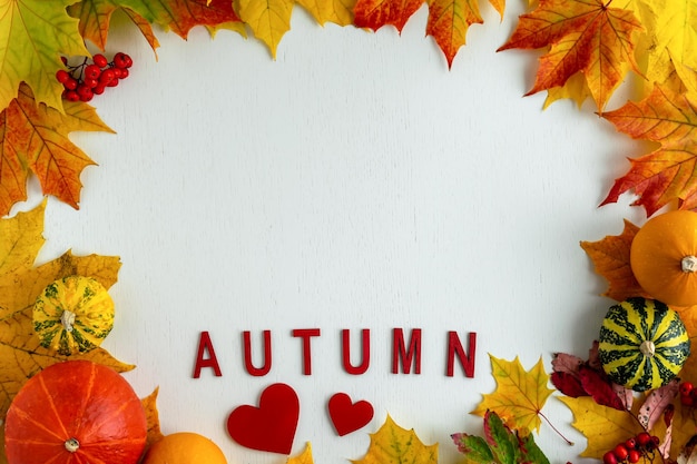 Layout em um fundo branco de folhas de bordo coloridas de outono e abóboras decorativas