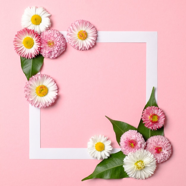 Foto layout minimalista feito de borda de quadro de papel e flores de primavera concurso em fundo rosa pastel.