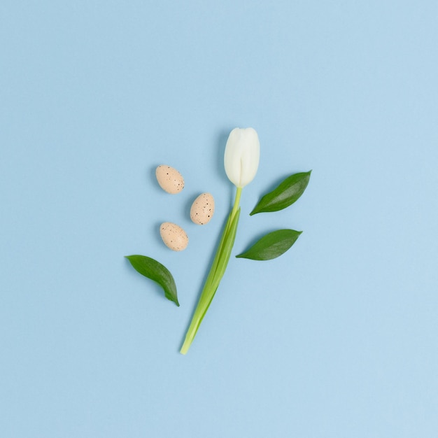 Layout von grünen Blättern der weißen Blume und von Ostereiern auf einem blauen Pastellhintergrund