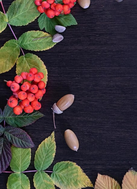 Foto layout von herbstblättern auf einem dunklen hintergrund das konzept des beginns des herbstes zurück in die schule