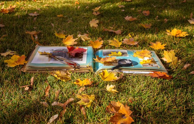 Álbum de fotos con hojas amarillas otoñales en el parque.