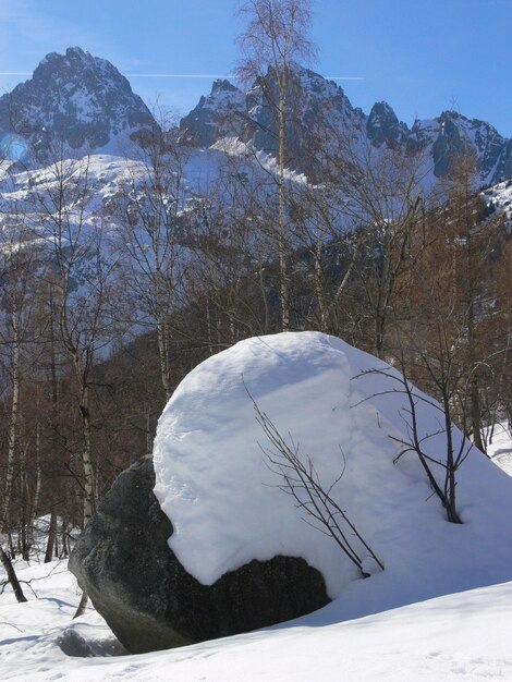 Foto le tourchamonixhaute savoiefrance