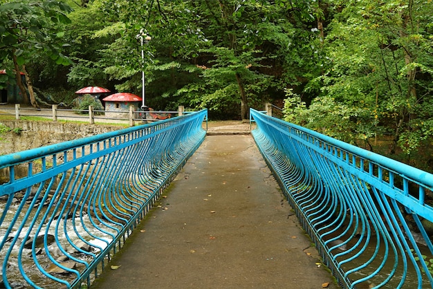 Lebendige blaue Schmiedeeisenbrücke im Park