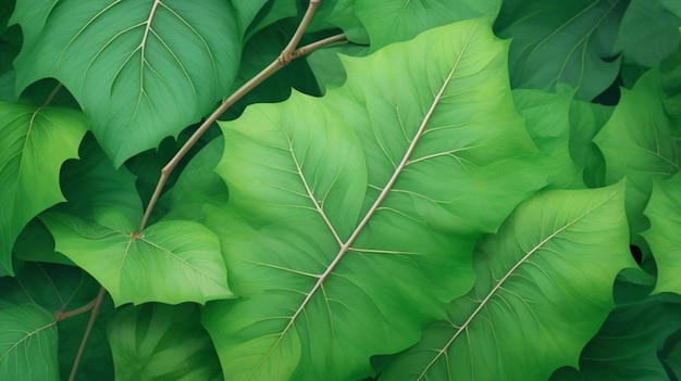 Lebendige grüne Blätter in anmutiger Bewegung