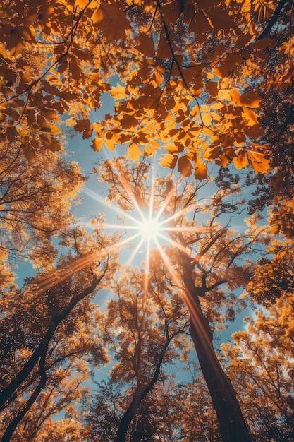 Foto lebendige herbstblätter und sonnenlicht im wald