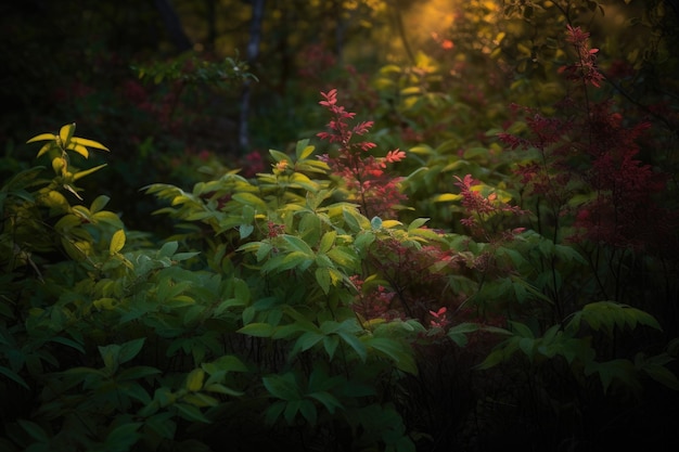 Lebendiges Mosaik aus Blättern und Wildblumen im Wald