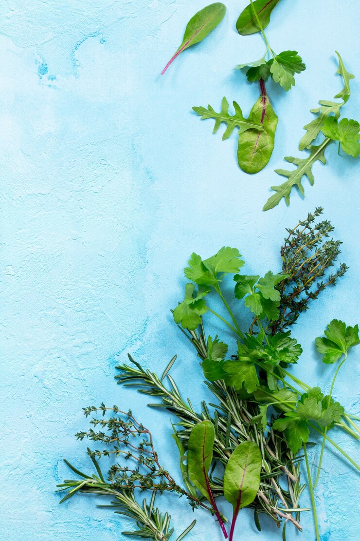 Lebensmittelhintergrund Diätkonzept von vegetarischem Essen Sommergrüne frische Kräuter