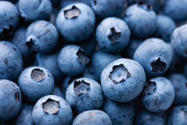 Lebensmittelhintergrund von blauen reifen Blaubeeren, Nahaufnahme