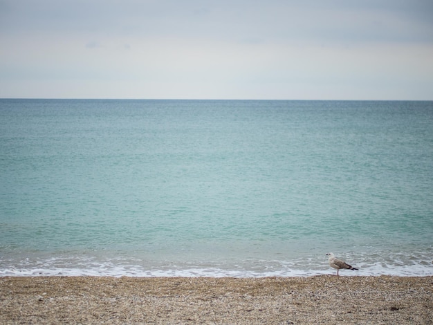 Lebensstil am Strand